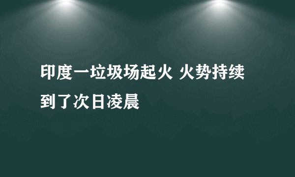 印度一垃圾场起火 火势持续到了次日凌晨