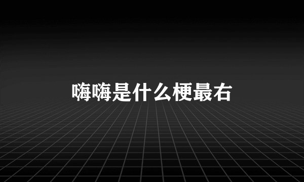 嗨嗨是什么梗最右