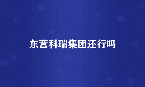 东营科瑞集团还行吗