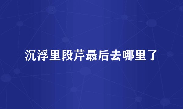 沉浮里段芹最后去哪里了