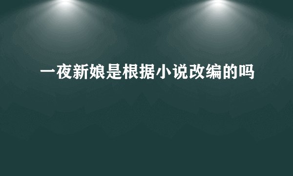 一夜新娘是根据小说改编的吗