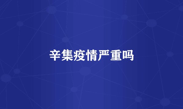 辛集疫情严重吗