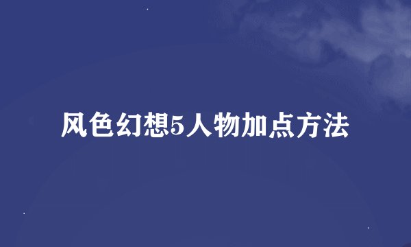 风色幻想5人物加点方法
