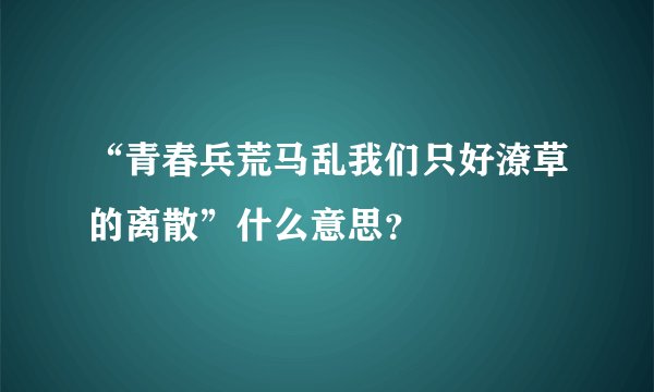 “青春兵荒马乱我们只好潦草的离散”什么意思？