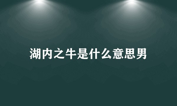湖内之牛是什么意思男
