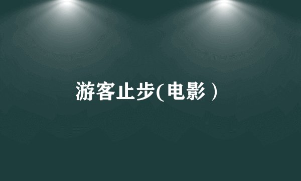 游客止步(电影)