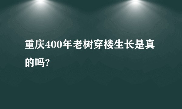 重庆400年老树穿楼生长是真的吗?