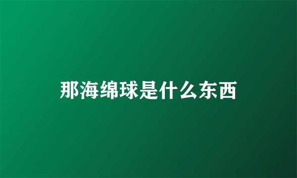 那海绵球是什么东西