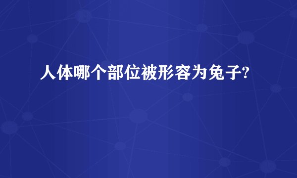 人体哪个部位被形容为兔子?