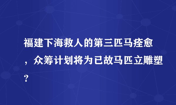 福建下海救人的第三匹马痊愈，众筹计划将为已故马匹立雕塑？