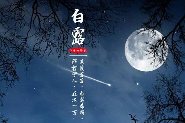白露是2023的几月几日几点