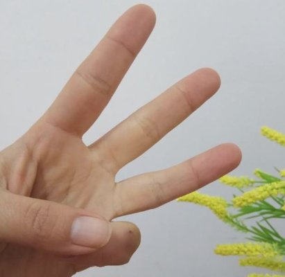 数字手势0到10的手势