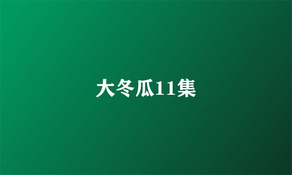大冬瓜11集
