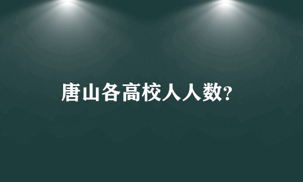 唐山各高校人人数？