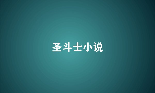 圣斗士小说