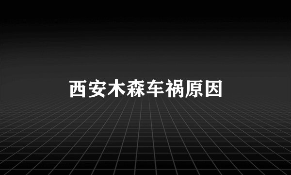 西安木森车祸原因