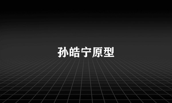 孙皓宁原型