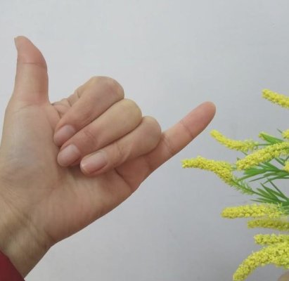 数字手势0到10的手势