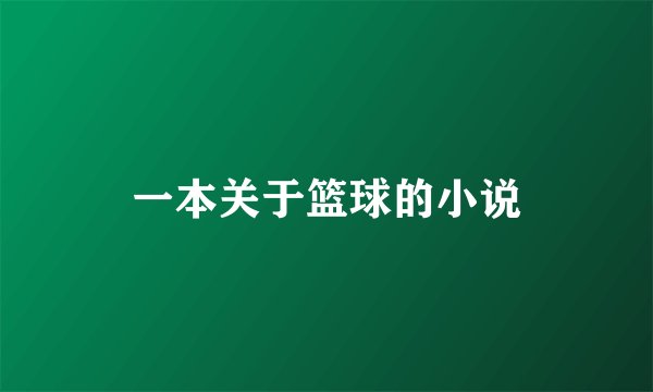 一本关于篮球的小说