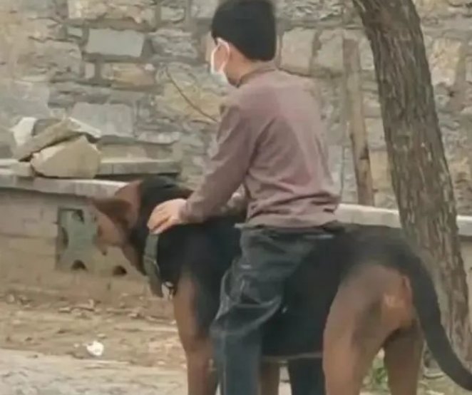 河南一男孩坐在狗狗身上排队做核酸，网友们对这一幕是如何评价的？