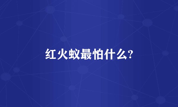 红火蚁最怕什么?