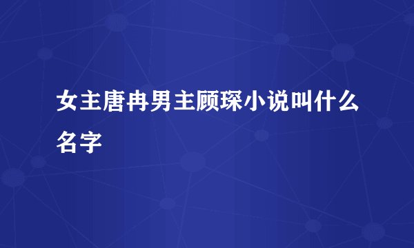 女主唐冉男主顾琛小说叫什么名字