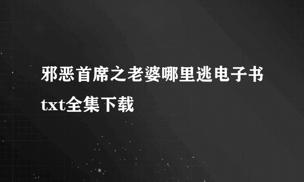 邪恶首席之老婆哪里逃电子书txt全集下载