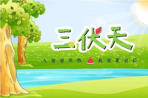 一伏等于多少天