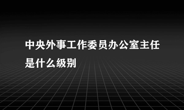 中央外事工作委员办公室主任是什么级别
