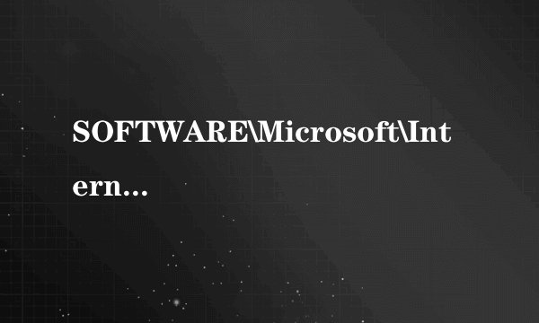 SOFTWARE\Microsoft\Internet Explorer\AboutURLs:Tab异常