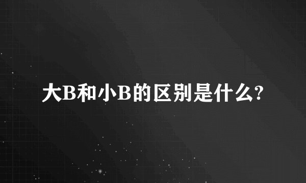 大B和小B的区别是什么?
