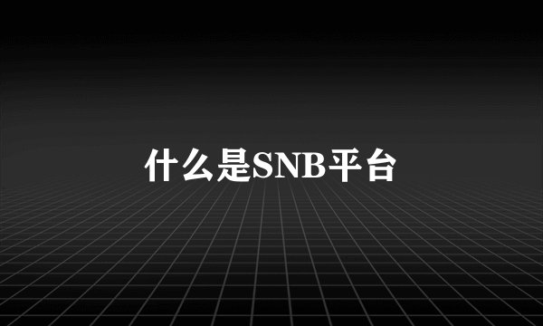 什么是SNB平台
