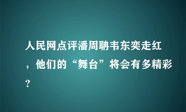人民网点评潘周聃韦东奕走红，他们的“舞台”将会有多精彩？
