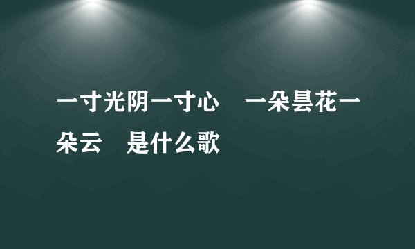 一寸光阴一寸心 一朵昙花一朵云 是什么歌
