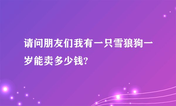 请问朋友们我有一只雪狼狗一岁能卖多少钱?
