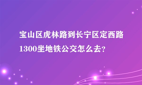宝山区虎林路到长宁区定西路1300坐地铁公交怎么去？