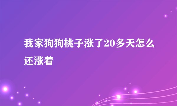 我家狗狗桃子涨了20多天怎么还涨着