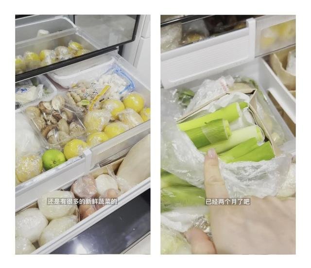 上海女子晒冰箱，花6分钟数完物资，用大冰箱囤货是种什么体验？
