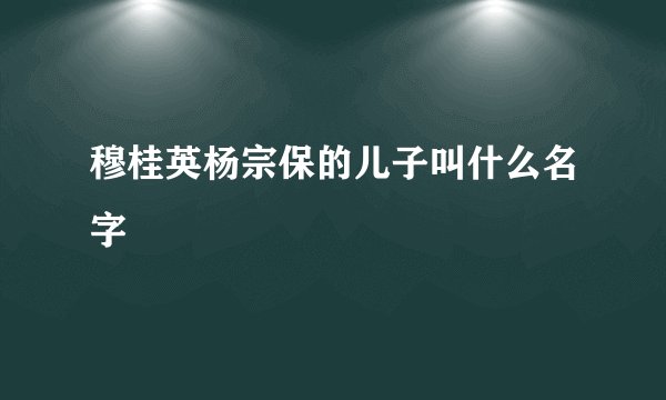 穆桂英杨宗保的儿子叫什么名字