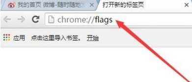 谷歌浏览器实验室的开关在哪？