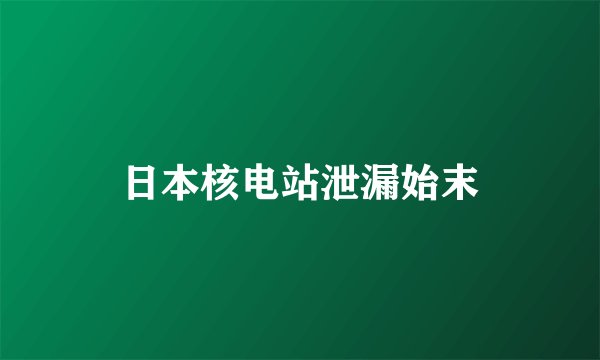 日本核电站泄漏始末