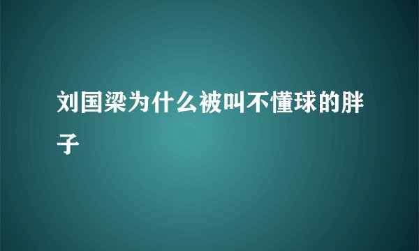 刘国梁为什么被叫不懂球的胖子