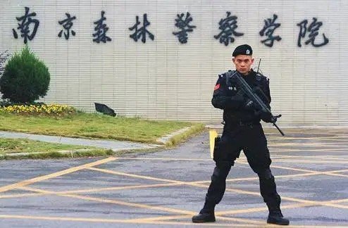 南京森林警察学院分数线