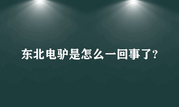 东北电驴是怎么一回事了?