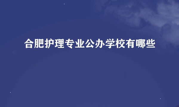 合肥护理专业公办学校有哪些