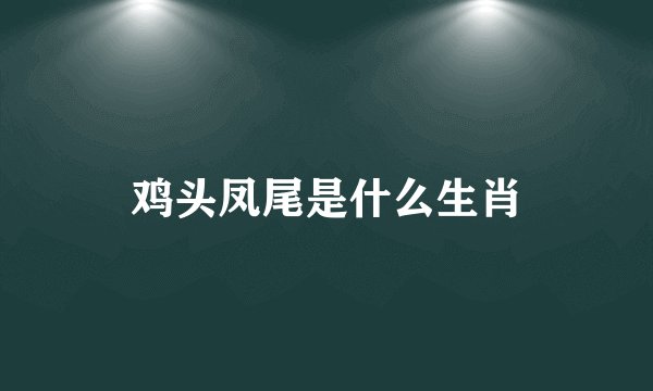 鸡头凤尾是什么生肖