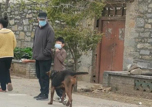 河南一男孩坐在狗狗身上排队做核酸,网友们对这一幕是如何评价的?