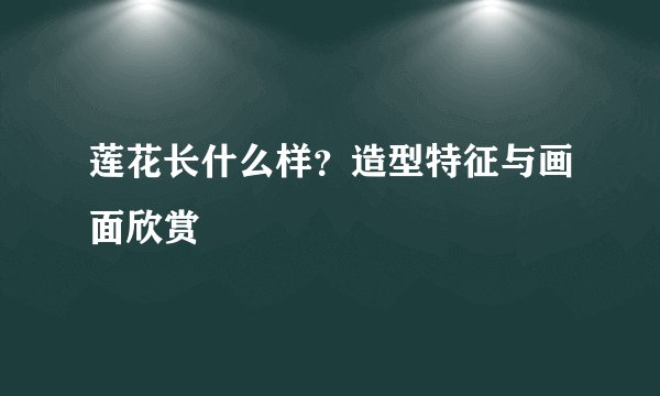 莲花长什么样？造型特征与画面欣赏