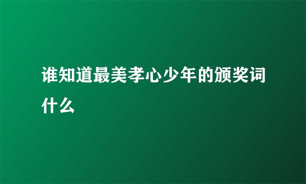 谁知道最美孝心少年的颁奖词什么