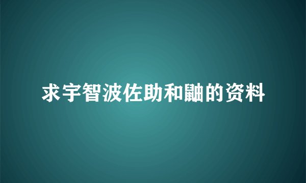 求宇智波佐助和鼬的资料